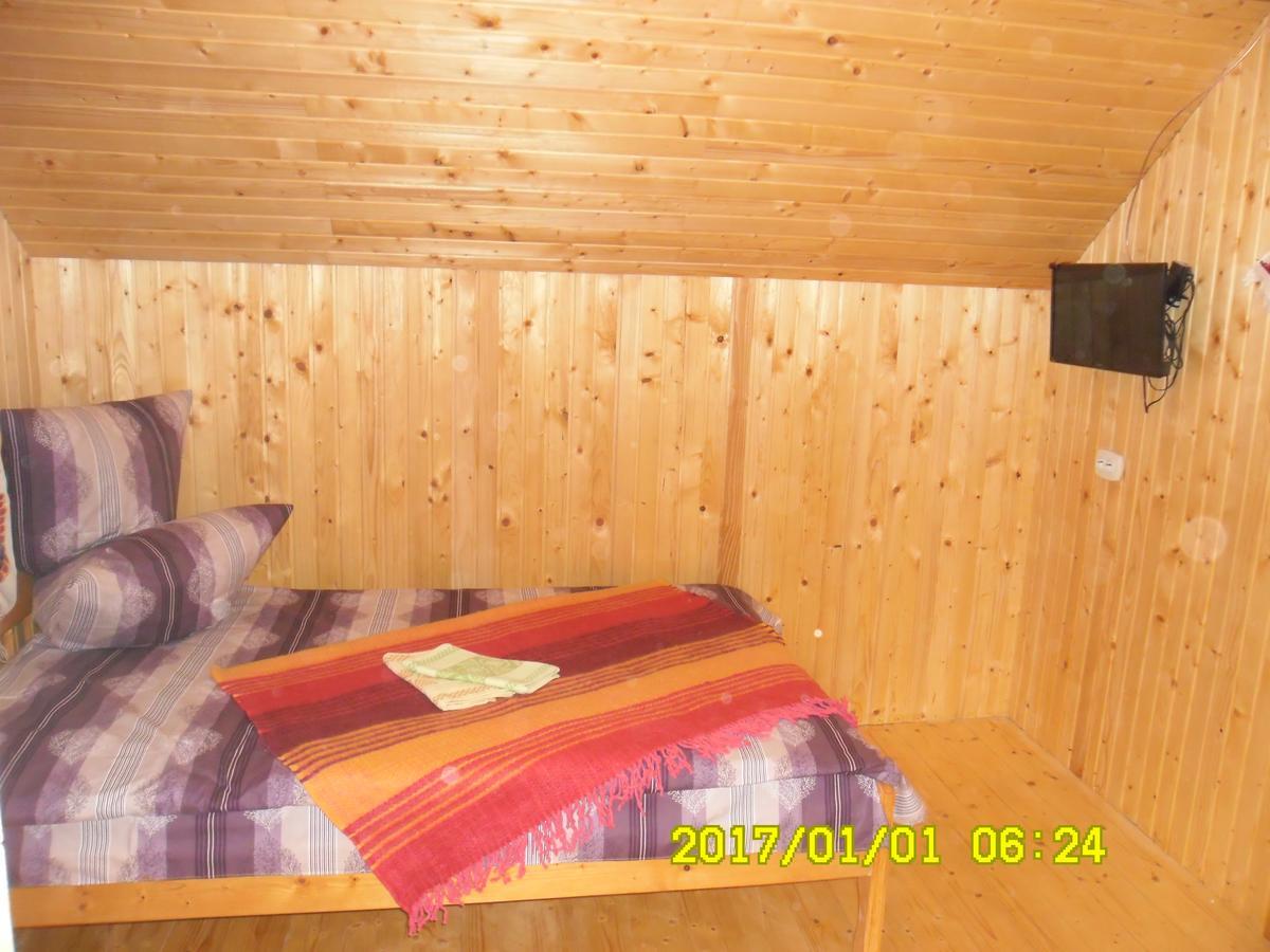 Lisovychok Villa Vorochta Buitenkant foto