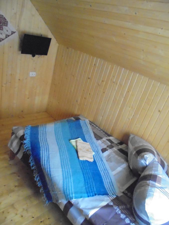 Lisovychok Villa Vorochta Buitenkant foto