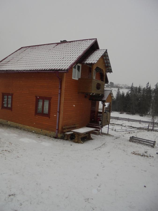 Lisovychok Villa Vorochta Buitenkant foto