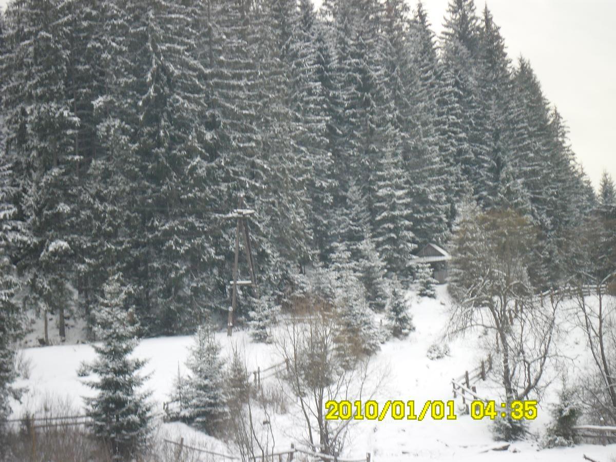 Lisovychok Villa Vorochta Buitenkant foto
