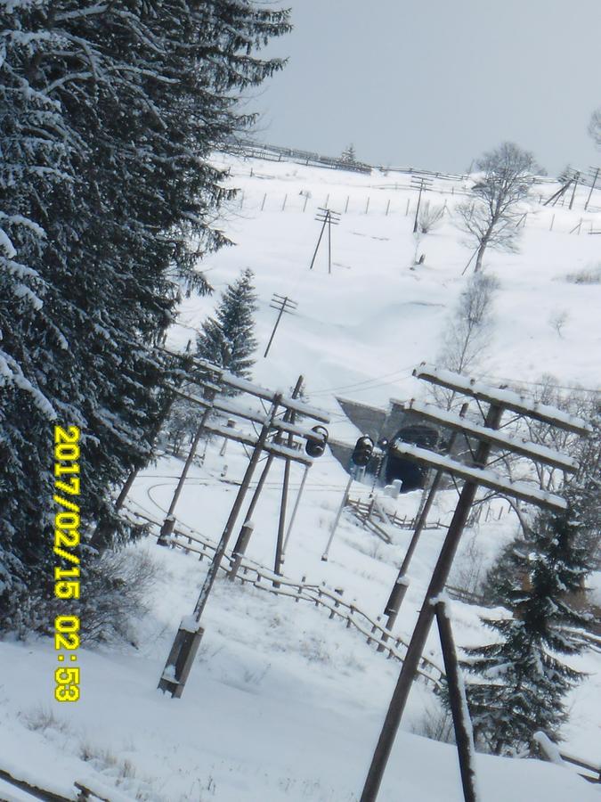 Lisovychok Villa Vorochta Buitenkant foto