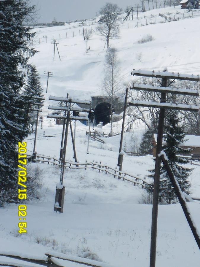 Lisovychok Villa Vorochta Buitenkant foto