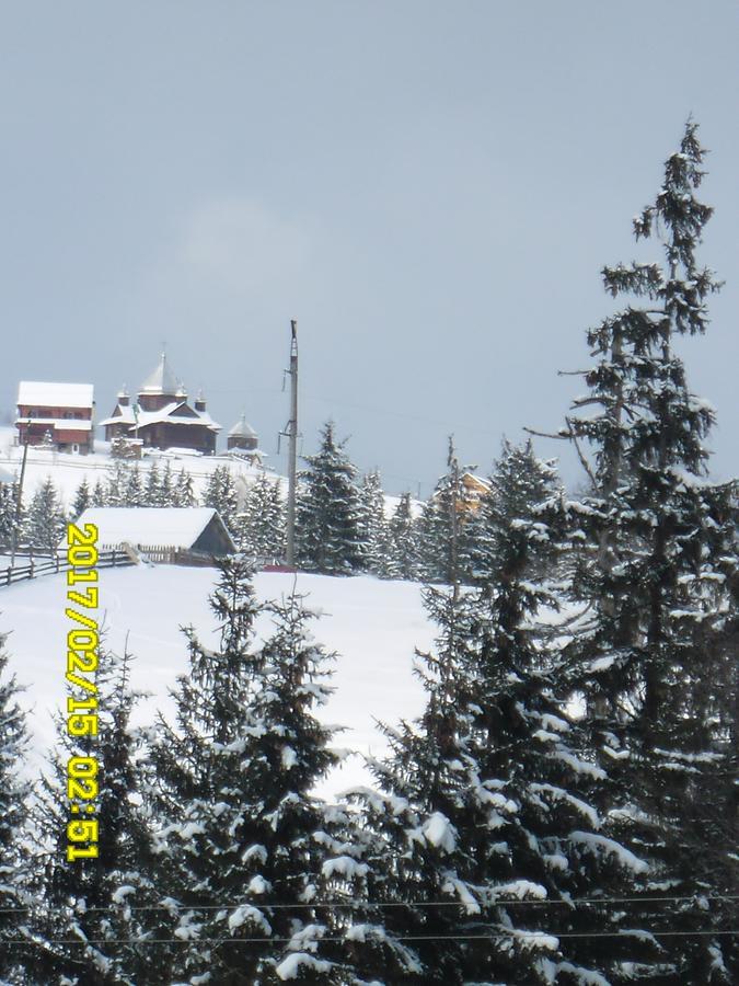 Lisovychok Villa Vorochta Buitenkant foto