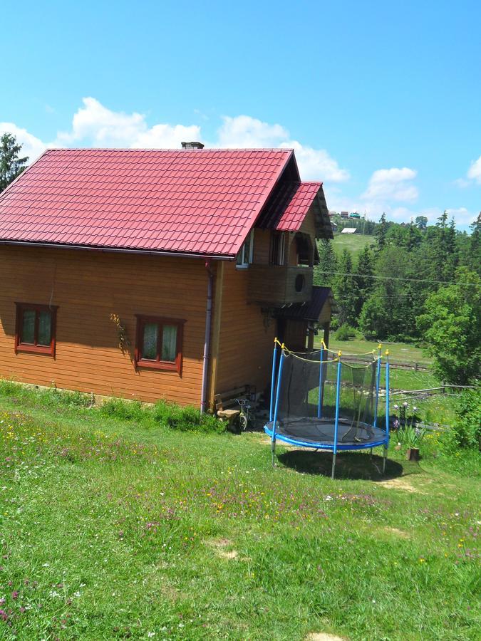 Lisovychok Villa Vorochta Buitenkant foto
