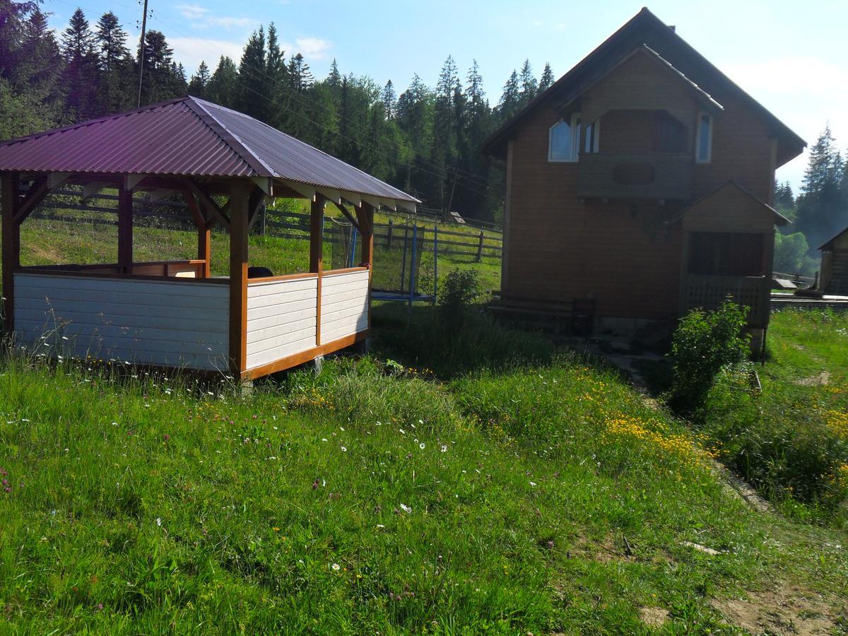 Lisovychok Villa Vorochta Buitenkant foto