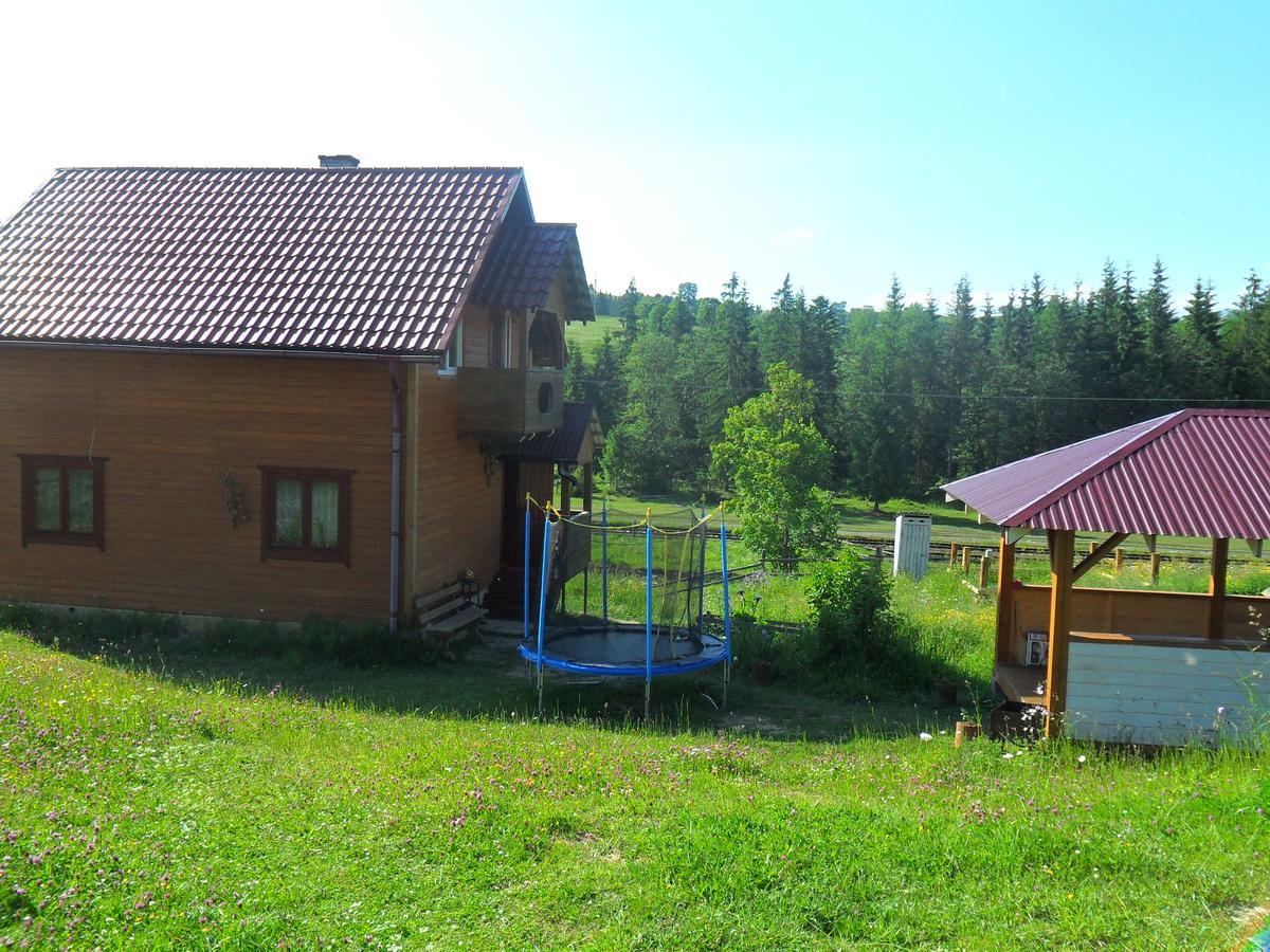 Lisovychok Villa Vorochta Buitenkant foto