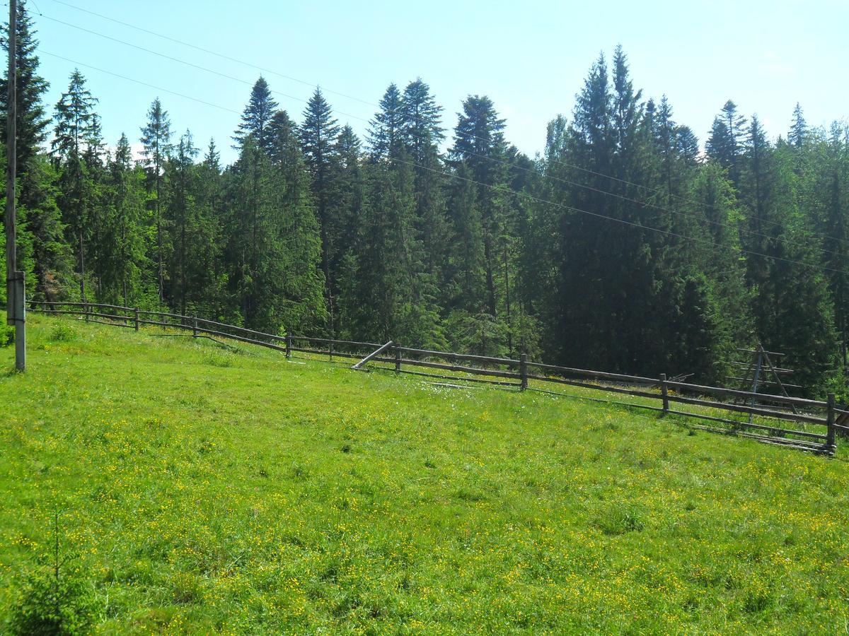 Lisovychok Villa Vorochta Buitenkant foto
